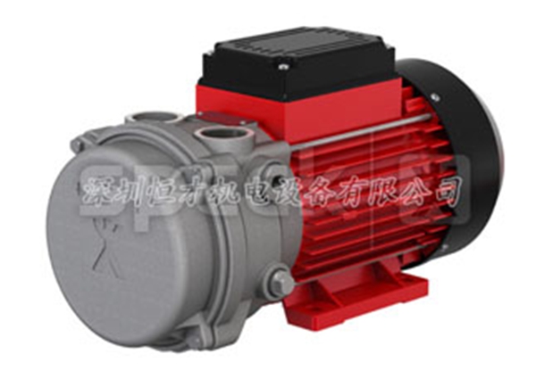 塑料成型中塑料擠出機用旋片真空泵